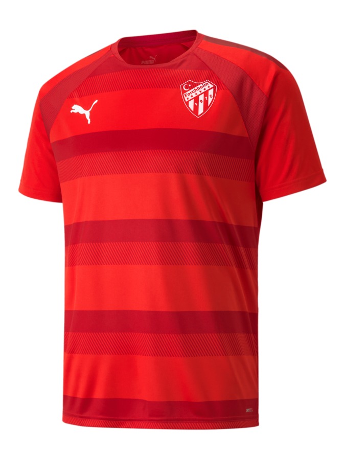 PUMA teamVISION Trikot