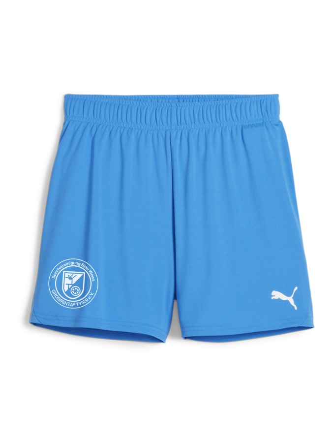 PUMA teamGOAL Handballshorts Damen