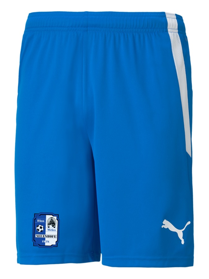 PUMA teamLIGA Shorts