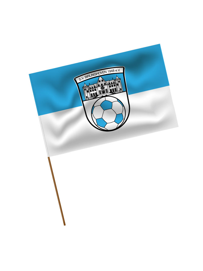 Stadionfahne Logo