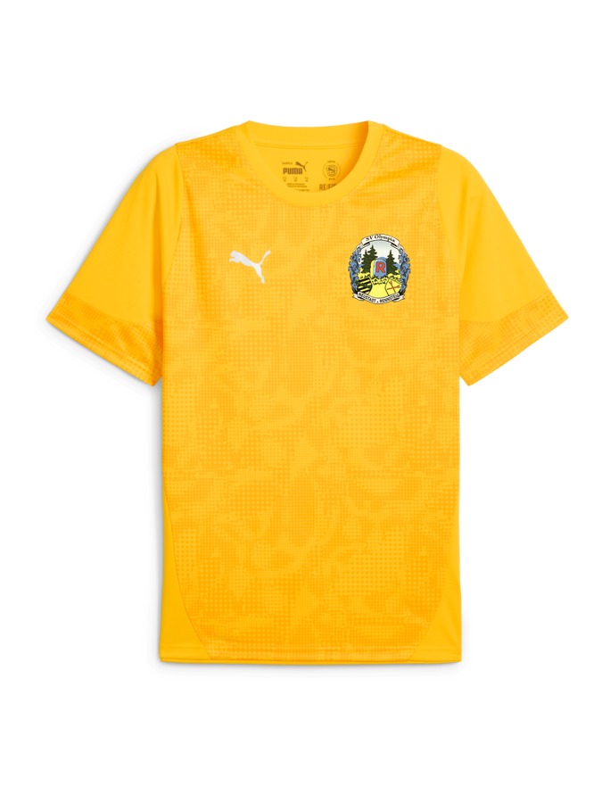 PUMA teamCUP Trainingsshirt