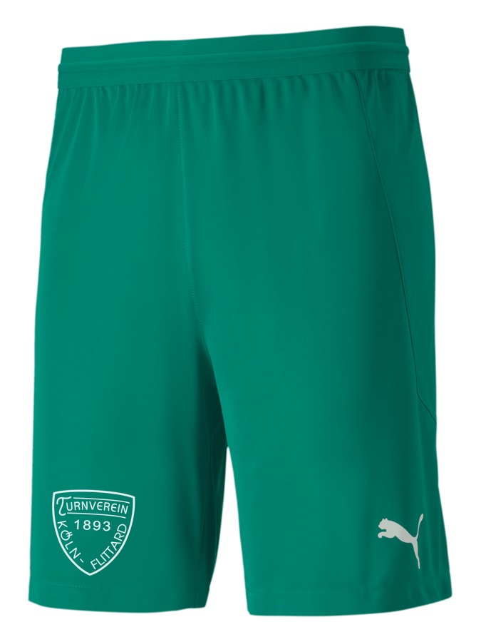 PUMA teamFINAL 21 Knit Shorts
