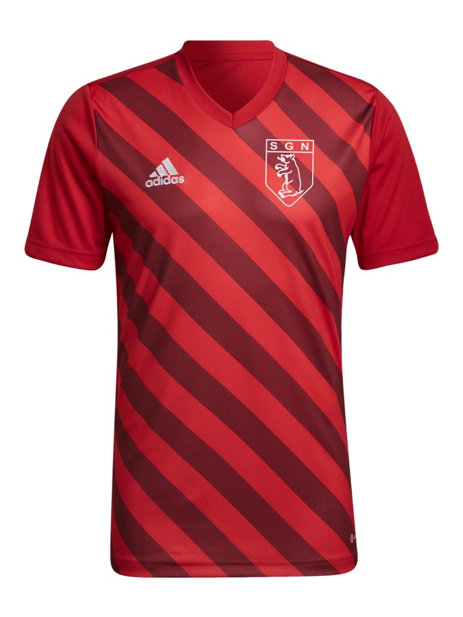 adidas Entrada 22 GFX Trikot