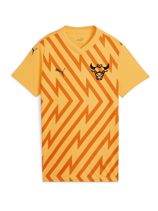 PUMA teamGLORY Trikot Damen