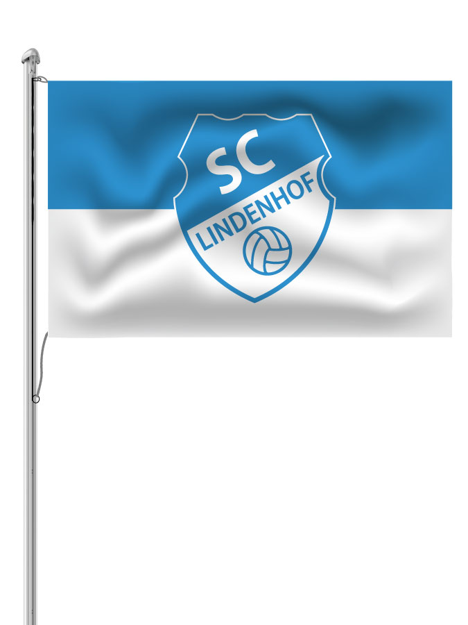 Hissfahne Logo