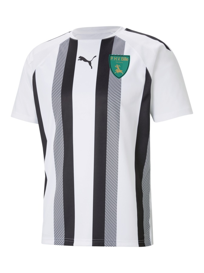 PUMA teamLIGA Striped Trikot