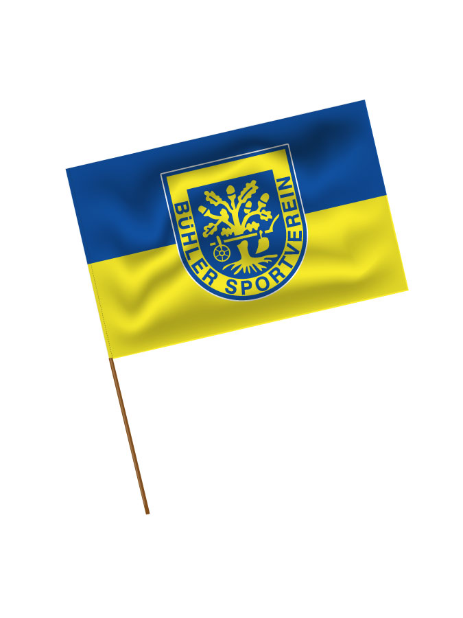 Stadionfahne Logo
