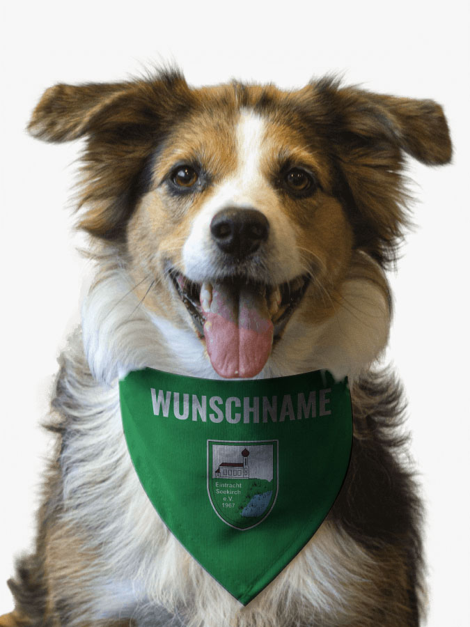 Hundehalstuch