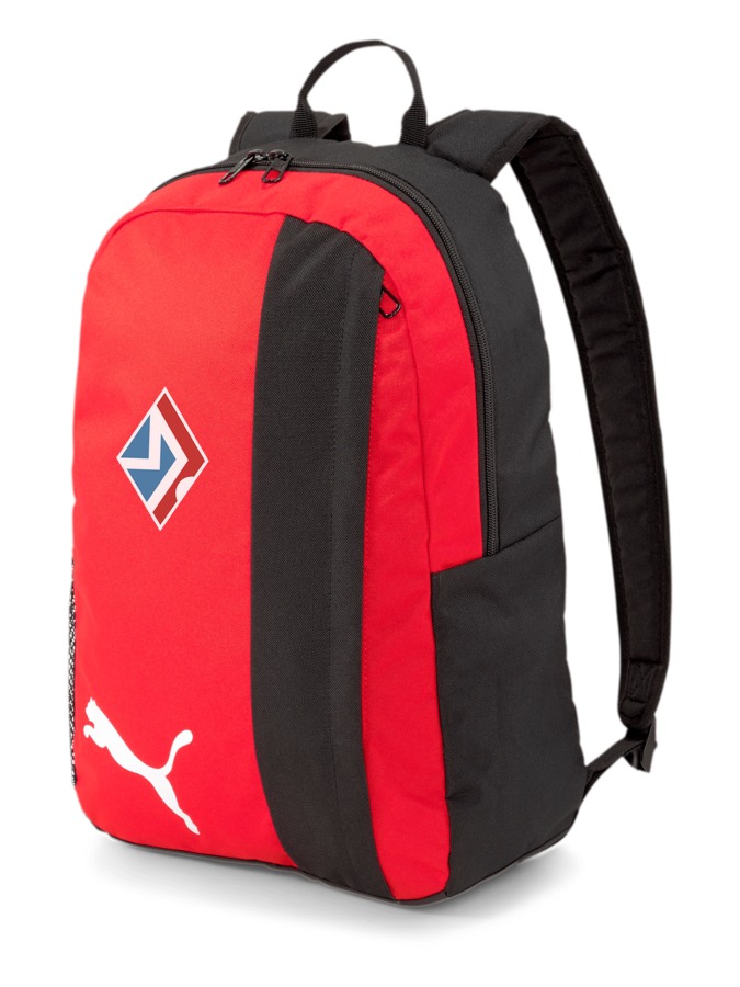PUMA teamGOAL 23 Backpack
