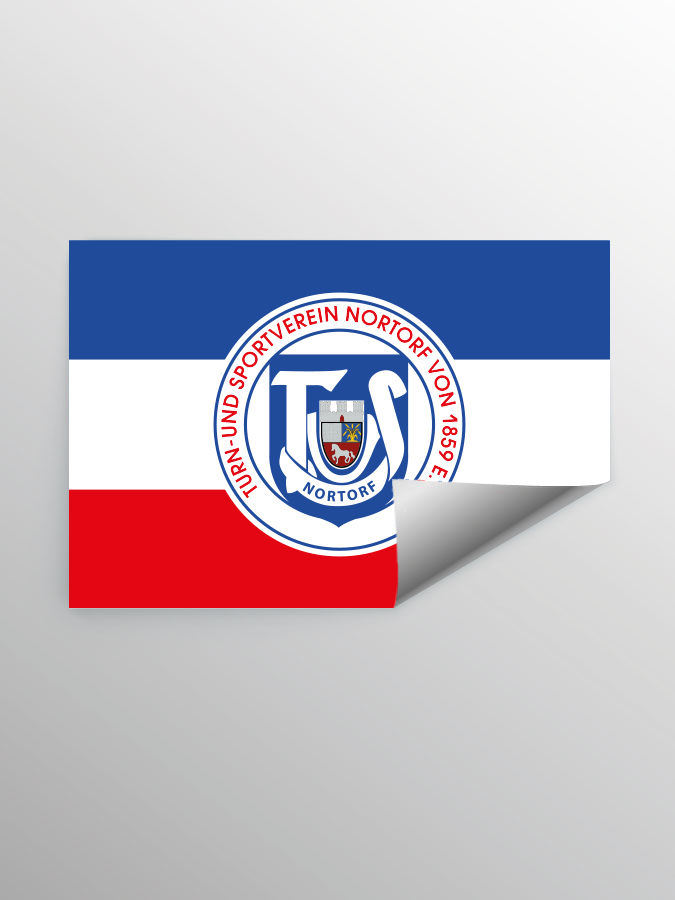 STIC I1