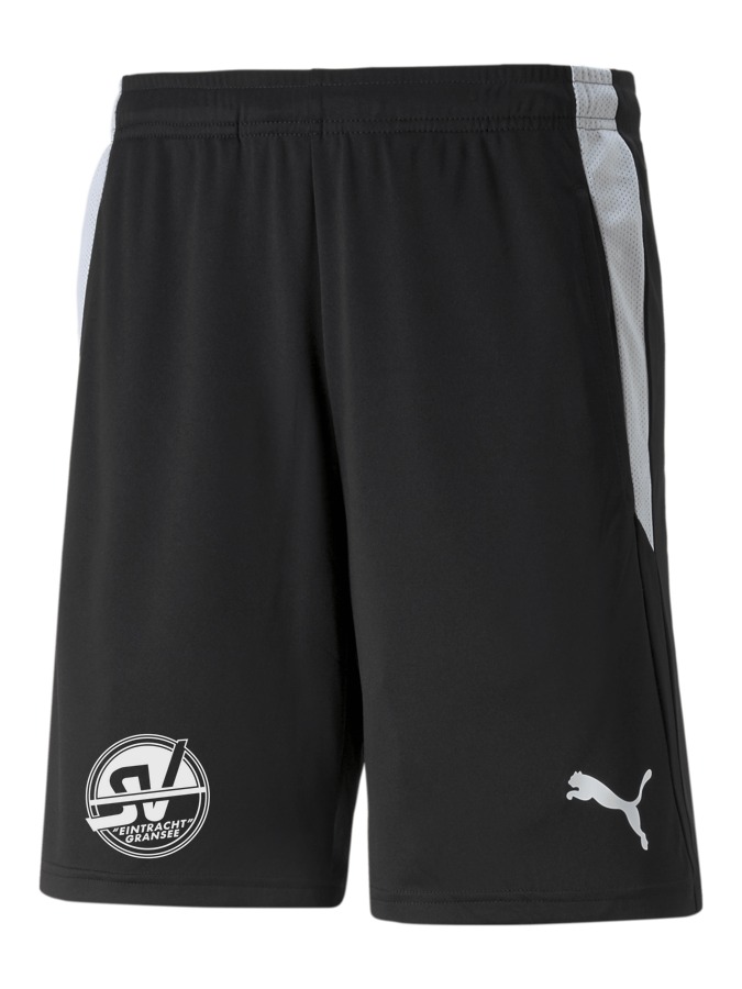 PUMA teamLIGA Referee Shorts