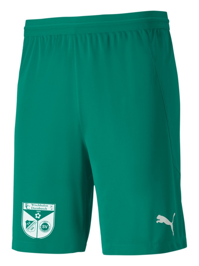PUMA teamFINAL 21 Knit Shorts