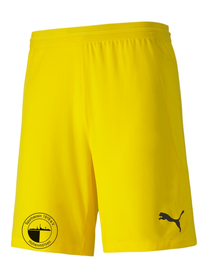 PUMA teamFINAL 21 Knit Shorts