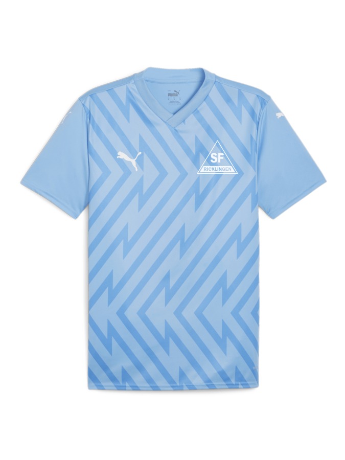 PUMA teamGLORY Trikot
