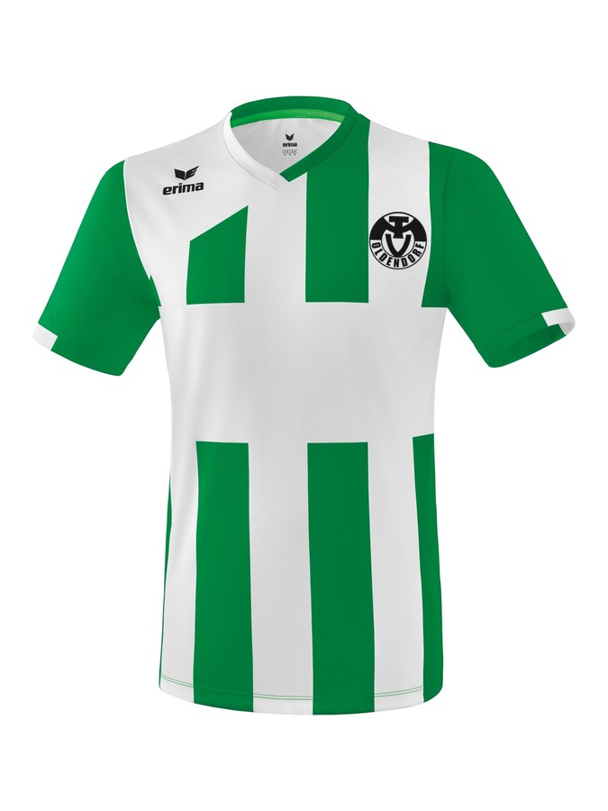 Erima Siena 3.0 Trikot