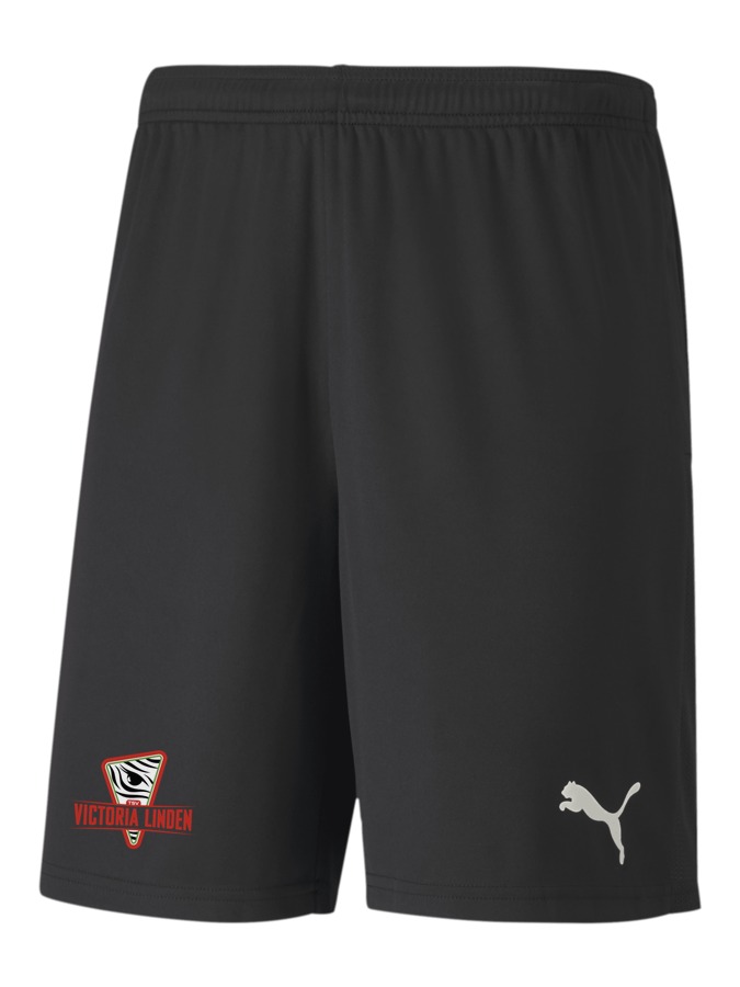 PUMA teamGOAL 23 Knit Shorts