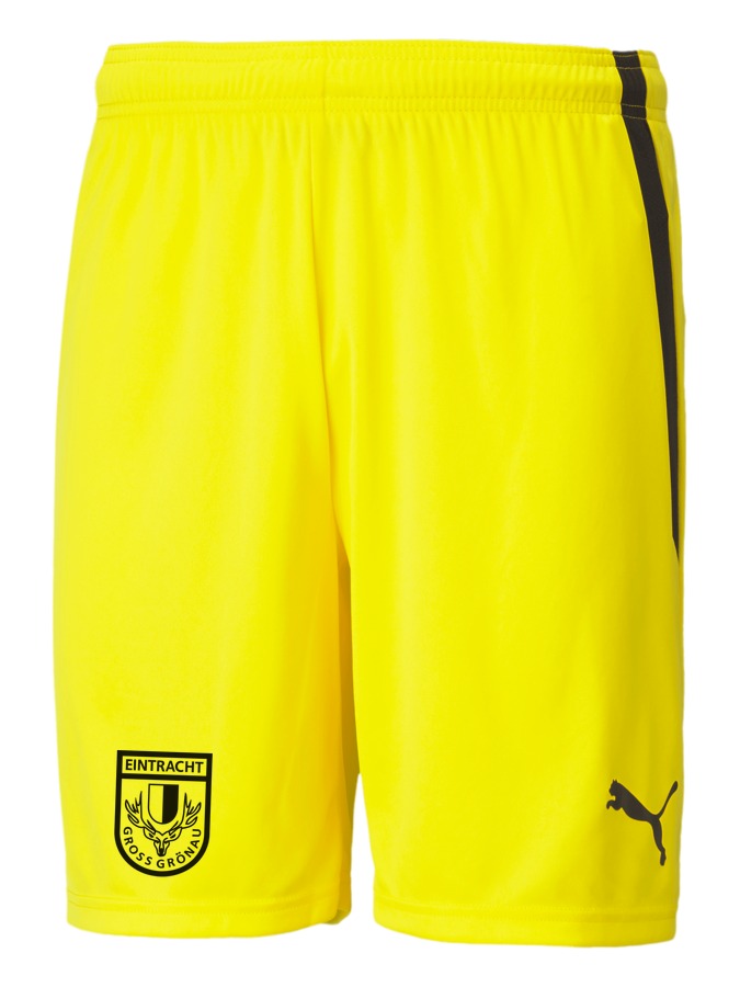 PUMA teamLIGA Shorts