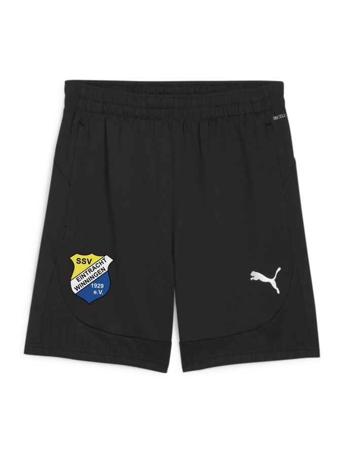 PUMA teamFINAL Training Shorts