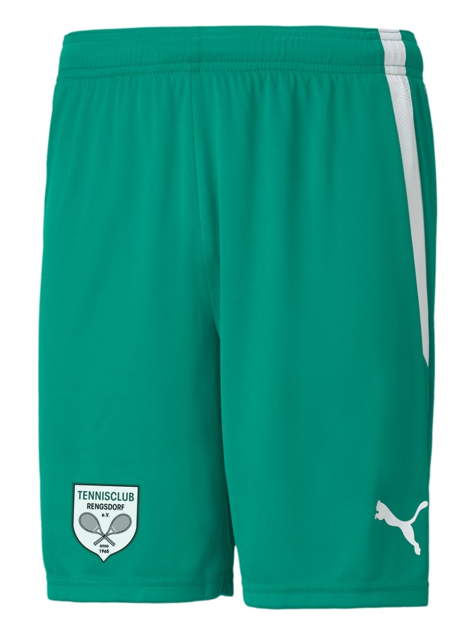 PUMA teamLIGA Shorts