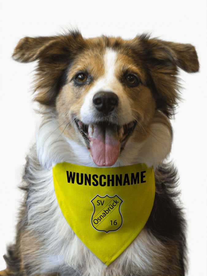 Hundehalstuch