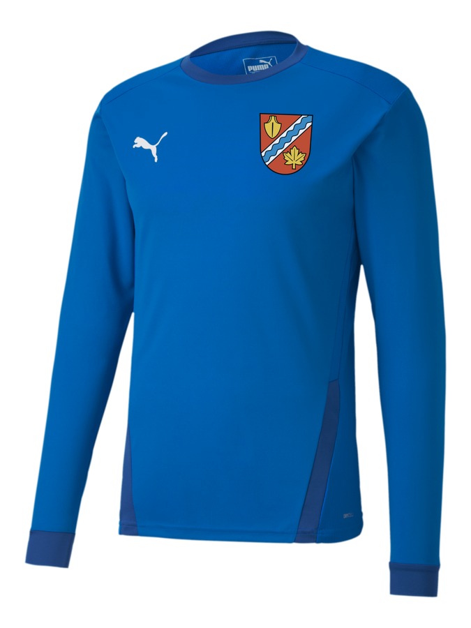 PUMA teamGOAL 23 Longsleeve