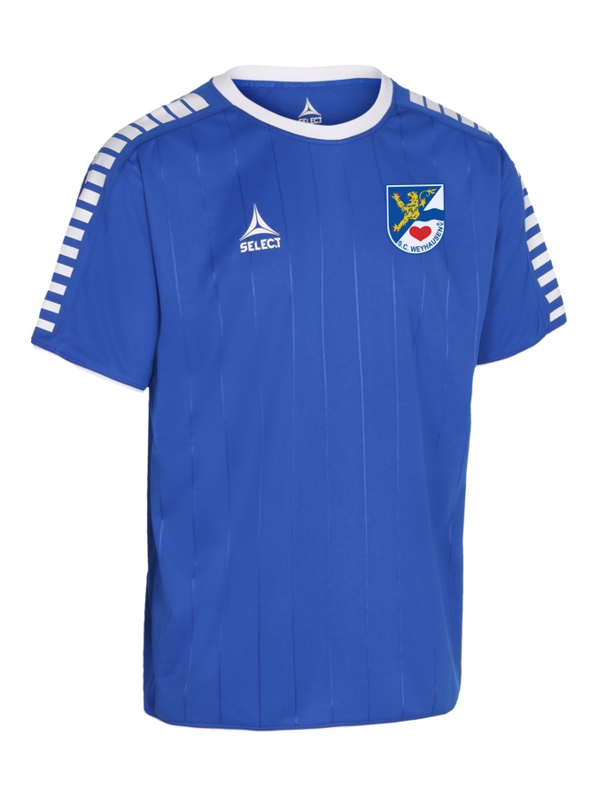 Select Argentina Trikot