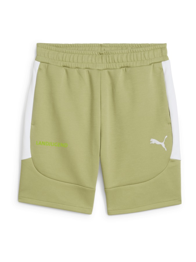 PUMA teamEVOSTRIPE Shorts