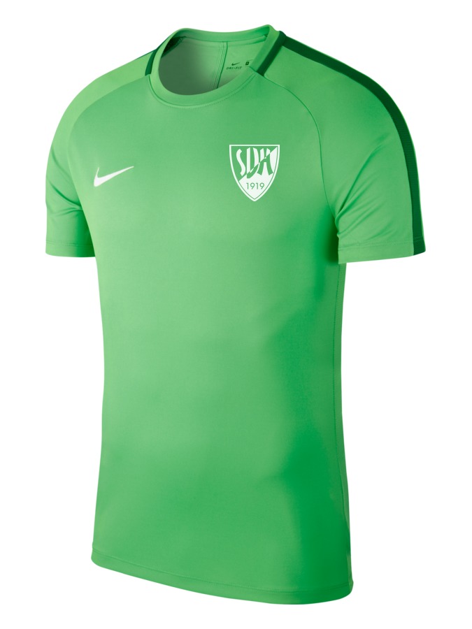 Nike Academy 18 Top