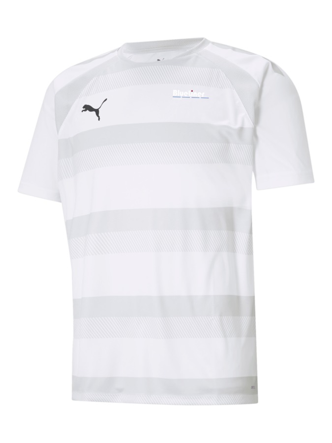 PUMA teamVISION Trikot