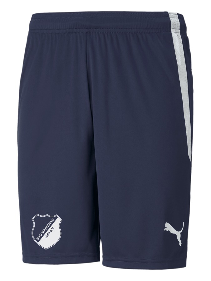 PUMA teamLIGA Shorts