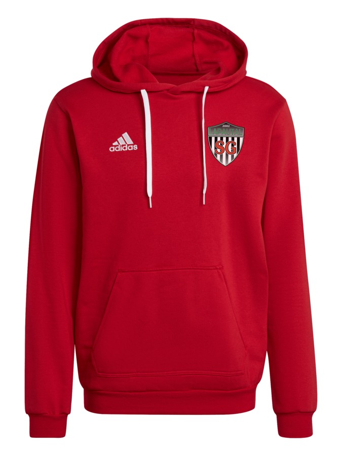adidas Entrada 22 Hoodie