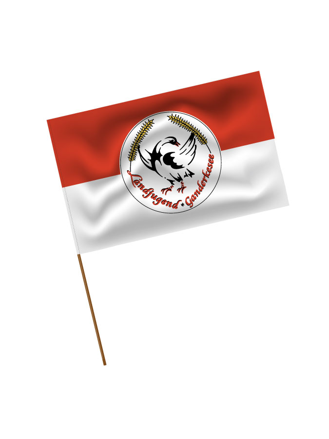 Stadionfahne Logo