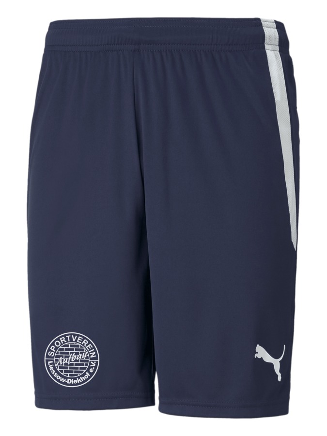 PUMA teamLIGA Shorts