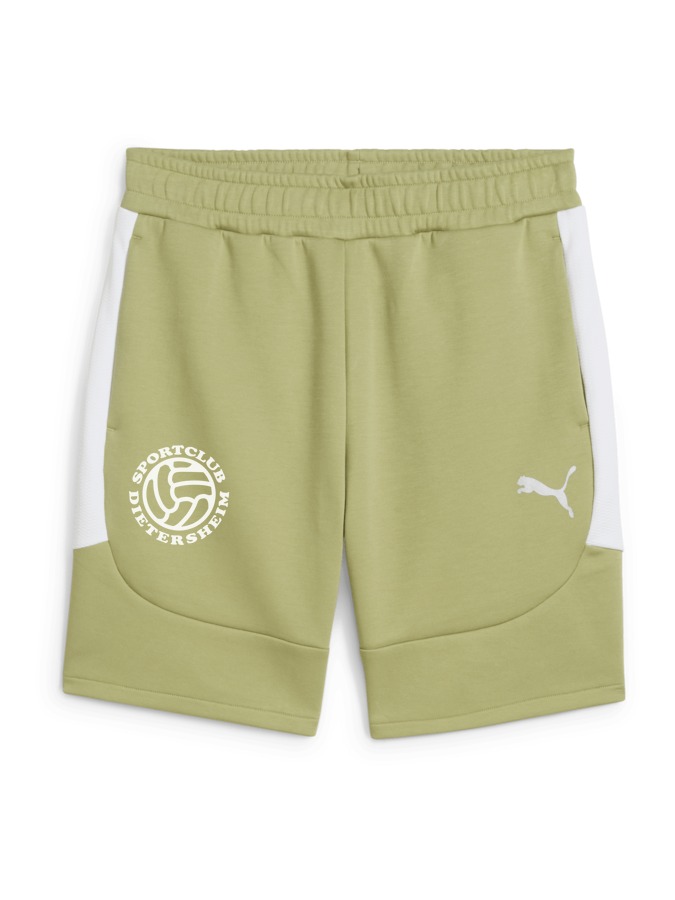 PUMA teamEVOSTRIPE Shorts