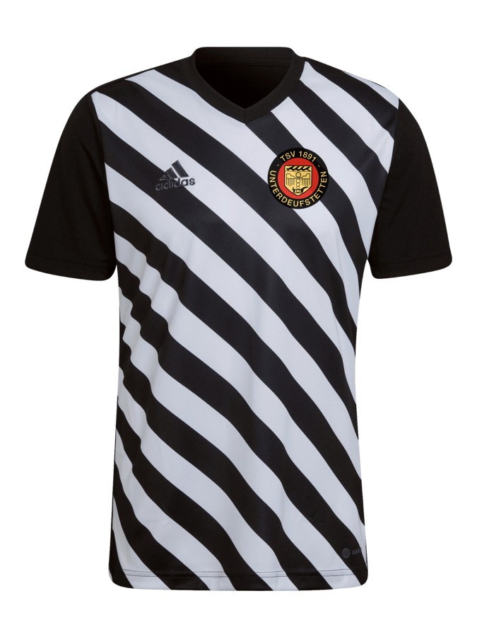 adidas Entrada 22 GFX Trikot