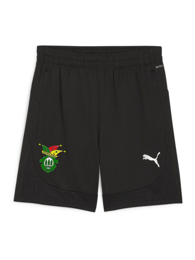PUMA teamFINAL Training Shorts