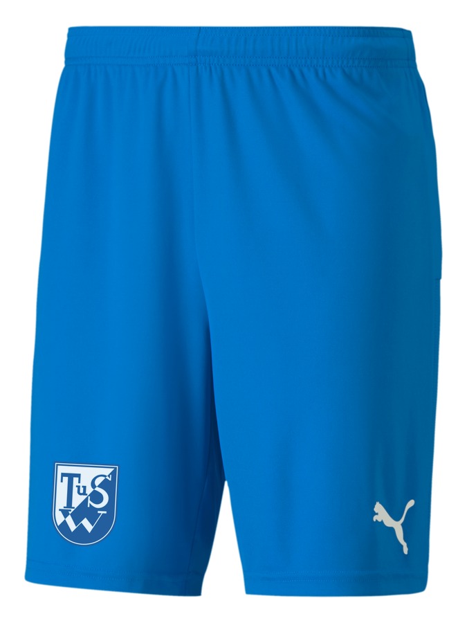 PUMA teamGOAL 23 Knit Shorts