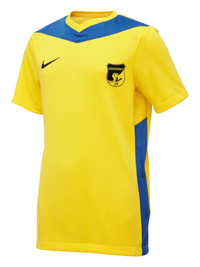 Nike Park Derby IV Trikot Kinder