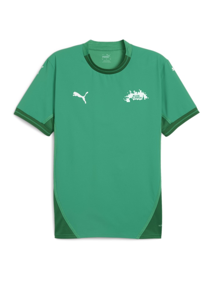 PUMA teamFINAL Trikot