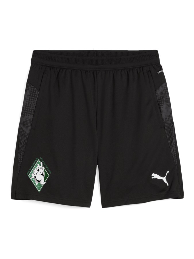 PUMA teamCUP Training Shorts