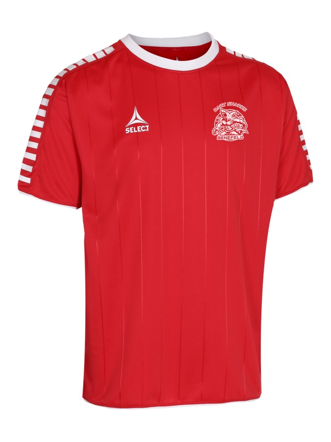 Select Argentina Trikot