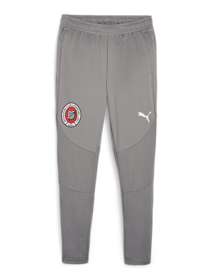 PUMA teamFINAL Trainingshose