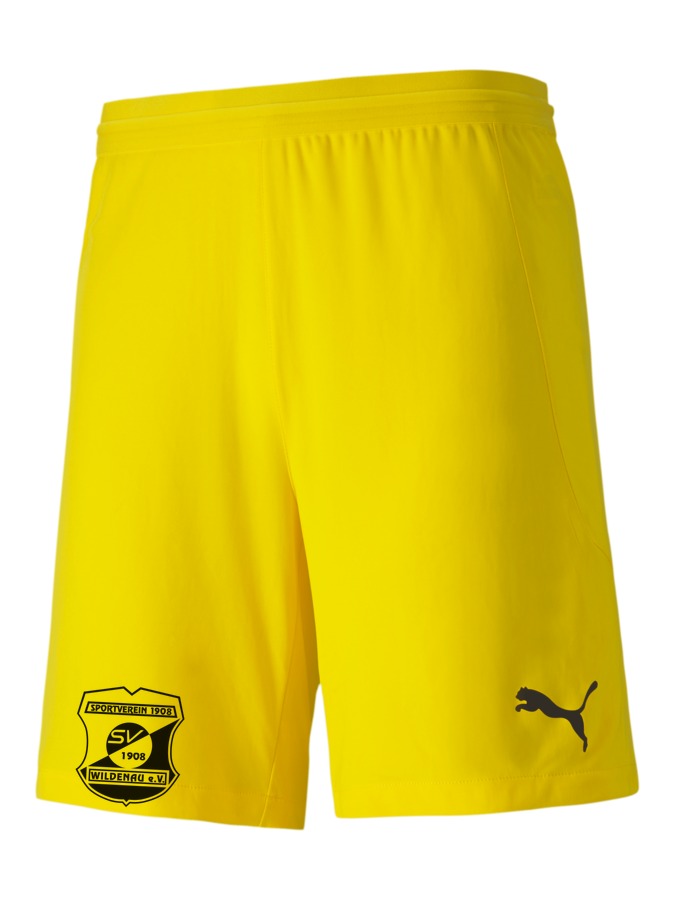 PUMA teamFINAL 21 Knit Shorts