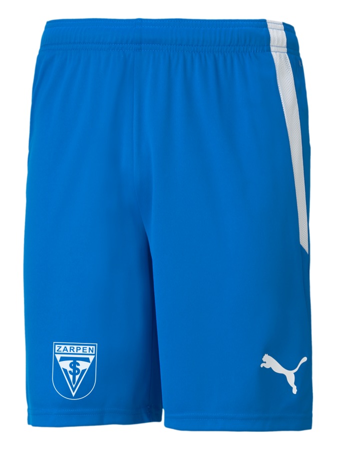 PUMA teamLIGA Shorts