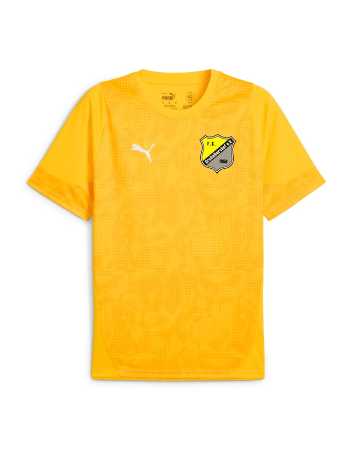 PUMA teamCUP Trainingsshirt