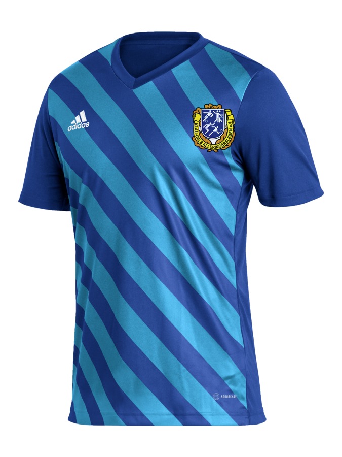 adidas Entrada 22 GFX Trikot