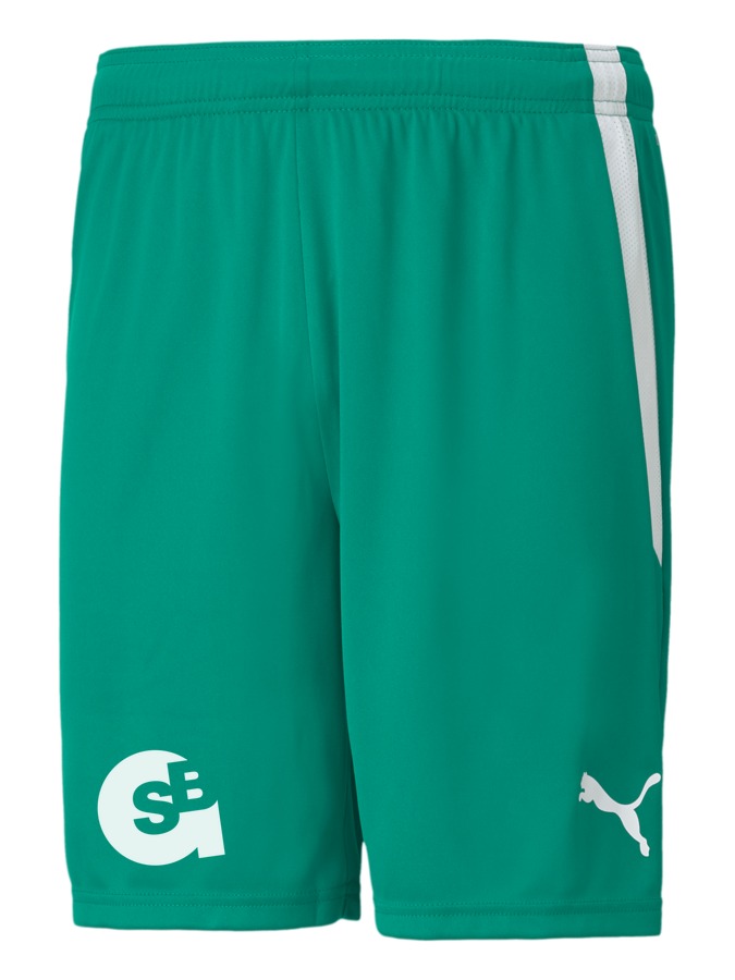 PUMA teamLIGA Shorts