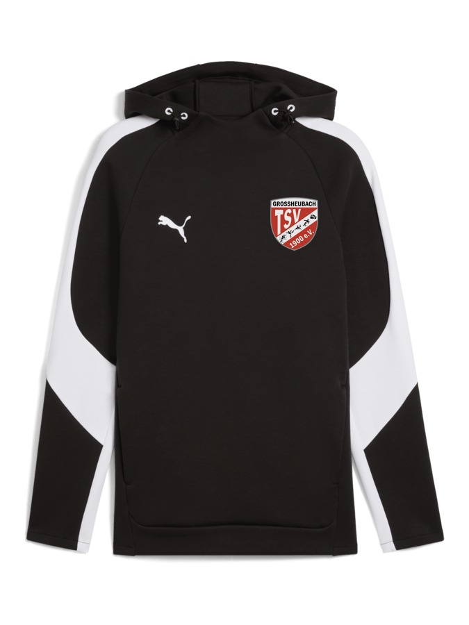 PUMA teamEVOSTRIPE Hoody