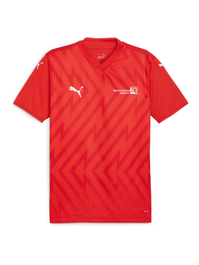 PUMA teamGLORY Trikot