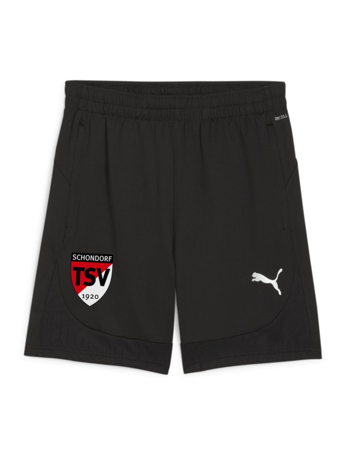 PUMA teamFINAL Training Shorts